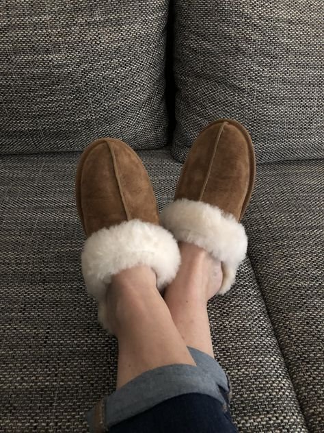 Scuffette II Dark Brown - נעלי UGG שהן חובה לכל חובבת אופנה UGG | ShoeSale