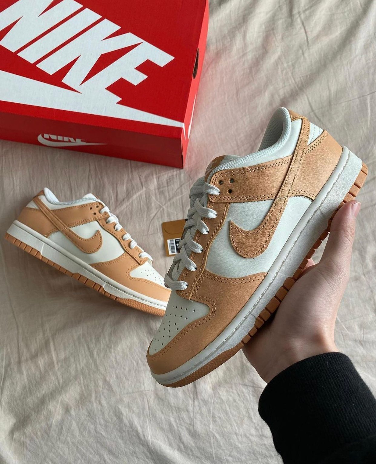 Dunk Low Harvest Moon - הסניקרס שכולם מדברים עליהן! הדגמים החמים | ShoeSale